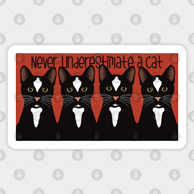 Never underestimate the power of a black cat. Black cats on a red background Sticker by marina63